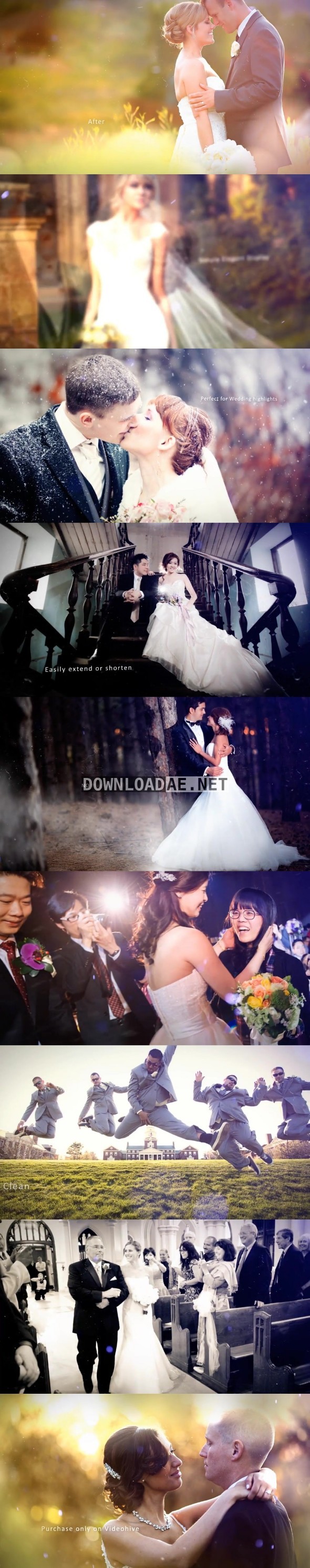 Videohive Wedding Photos 12434895 - Free After Effects Project Files