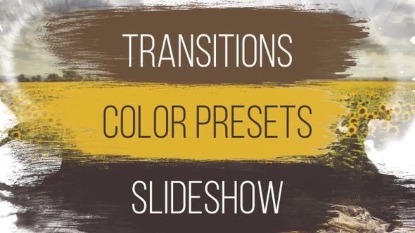 Wedding Transitions, Color Presets, Slideshow - Premiere Pro Templates 64260