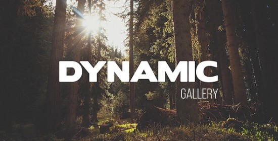 Videohive Dynamic Gallery 10470167