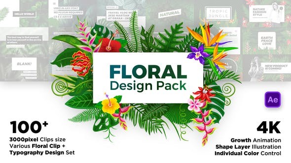Videohive  Floral Design Pack  - After Effects Template