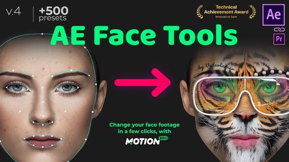 AE Face Tools V4.1.2 24958166 - After Effects Project Files