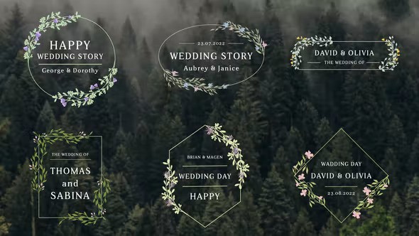 Wedding Titles 36434236 - After Effects Project Files