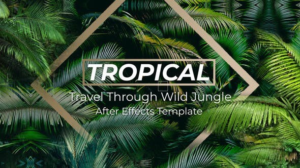 Jungle Tropical Slideshow 40108191 - After Effects Project Files