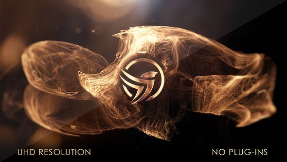 Golden Flow Logo Reveal 44101393 - After Effects Project Files