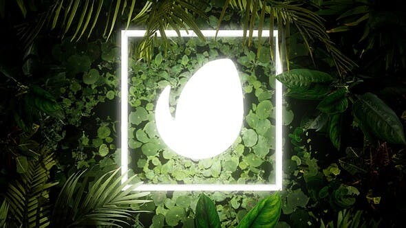 Lighting Nature Logo, After Effects Project Files Videohive